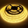 Kép 1/2 - Kültéri Ledszalag 9,6W/m Meleg fehér 120LED/méter