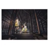 Kép 8/11 - GP CREE LED Fejlámpa CHW53, 280 lm