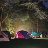 Kép 7/24 - LED újratölthető kemping lámpa P2313, 350 lm