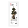 Kép 6/7 - LED karácsonyfa, havas, 52 cm, 3x AA, beltéri, meleg fehér, időzítő