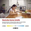 Kép 25/33 - LED izzó Filament gyertya A CLASS/ E14 / 3,8 W (60 W) / 806 lm / természetes fehér