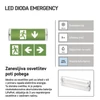 Kép 12/35 - EMOS LED vészvilágító lámpatest NESSI 3W 3 óra IP65