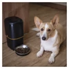 Kép 27/28 - GoSmart állateledel adagoló Pet Care, 4 l, fekete, Wi-Fi