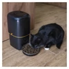 Kép 28/28 - GoSmart állateledel adagoló Pet Care, 4 l, fekete, Wi-Fi