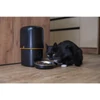 Kép 28/29 - GoSmart állateledel adagoló kamerával Pet Care, 4 l, fekete, Wi-Fi