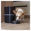 Kép 27/28 - GoSmart állateledel adagoló kamerával Pet Care, 6 l, fekete, Wi-Fi