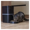 Kép 28/28 - GoSmart állateledel adagoló kamerával Pet Care, 6 l, fekete, Wi-Fi