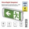 Kép 3/20 - EMOS LED vészvilágító lámpatest NESSI 4W 3 óra IP66