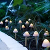 Kép 1/4 - LED-es szolár lámpa - 12 db mini gomba - melegfehér - 28,5 cm x 4 m