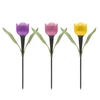 Kép 2/7 - LED-es szolár tulipánlámpa