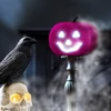 Kép 1/3 - Halloween-i RGB LED dekor - habszivacs tök - lila - 11 cm