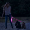 Kép 1/4 - LED-es póráz - akkumulátoros - 120 x 2,5 cm - rózsaszín