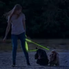 Kép 1/4 - LED-es póráz - akkumulátoros - 120 x 2,5 cm - zöld