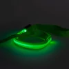 Kép 4/4 - LED-es póráz - akkumulátoros - 120 x 2,5 cm - zöld