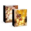 Kép 1/3 - Ajándéktasak - 10 LED, papír - 265 x 127 x 330 mm - 2 féle / csomag