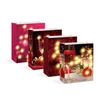 Kép 1/5 - Ajándéktasak - 10 melegfehér LED, papír - 265 x 127 x 330 mm - 4 féle / csomag