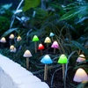 Kép 1/3 - LED-es szolár lámpa - 12 db mini gomba - színes - 28,5 cm x 4 m
