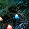Kép 3/3 - LED-es szolár lámpa - 12 db mini gomba - színes - 28,5 cm x 4 m