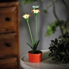 Kép 1/4 - Szolár színes virág - 8 x 8 x 32 cm - 10 melegfehér LED - piros