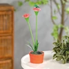 Kép 2/4 - Szolár színes virág - 8 x 8 x 32 cm - 10 melegfehér LED - piros