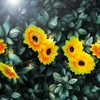 Kép 1/4 - Szolár fényfüzér - virág - 2 m - 20 melegfehér LED