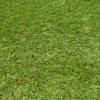Kép 5/5 - Műfű - 2 m x 25 m - 40 mm szálhosszal - Eden Cheer
