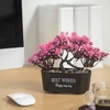 Kép 2/4 - Műnövény dekoráció - bonsai - 19 x 13 cm - 4 féle