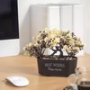 Kép 3/4 - Műnövény dekoráció - bonsai - 19 x 13 cm - 4 féle