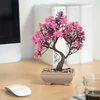 Kép 2/4 - Műnövény dekoráció - bonsai - 18 x 24 cm - 4 féle