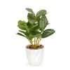 Kép 2/2 - Műnövény dekoráció - fittonia - 20 x 9 cm
