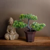 Kép 1/2 - Műnövény dekoráció - bonsai fa - 25 x 9 cm