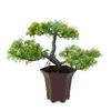 Kép 2/2 - Műnövény dekoráció - bonsai fa - 25 x 9 cm