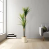 Kép 1/2 - Műnövény dekoráció - Dracaena Marginata - zöld - 1,2 m