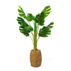 Kép 2/2 - Műnövény dekoráció - filodendron - 1 m