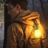 Kép 1/6 - Akasztható szolár lámpa - villanykörte alakú - USB-C - 100 lumen - 400 mAh