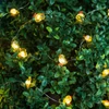 Kép 3/4 - LED fényfüzér - csibe - 2 m - 20 LED - 2 x AA