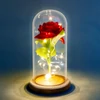 Kép 2/3 - Örökrózsa LED-del - 11.5 x 22 cm