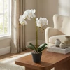 Kép 1/3 - Műnövény dekoráció - orchidea - 2 féle - 54 cm