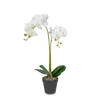 Kép 3/3 - Műnövény dekoráció - orchidea - 2 féle - 54 cm