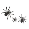 Kép 2/2 - Halloween-i dekoráció - pók szett - öntapadós - fekete - 30 db / csomag