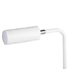 Kép 3/13 - Íróasztali LED lámpa LEADIE LED