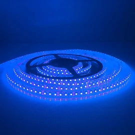 Kültéri Ledszalag 9,6W/m Kék 120LED/méter